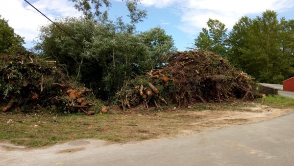 Villaviciosa.- Los trabajos de limpieza de los ríos Valdediós y Linares se desarrollarán hasta julio Villaviciosa.- Los trabajos de limpieza de los ríos Valdediós y Linares se desarrollarán hasta julio