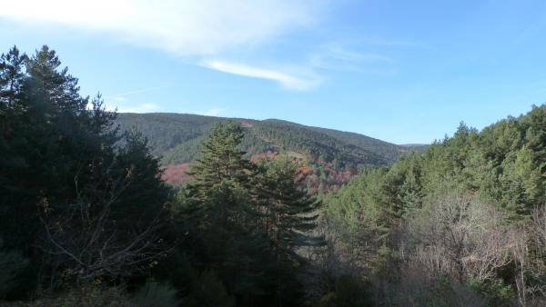 El Parque Natural Sierra de Cebollera programa este sábado un paseo guiado por la Dehesa de Hayas del Astonar El Parque Natural Sierra de Cebollera programa este sábado un paseo guiado por la Dehesa de Hayas del Astonar