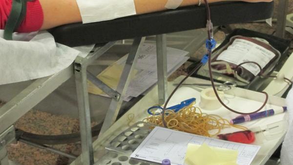 Donación, Donante, Sangre Donación, Donante, Sangre