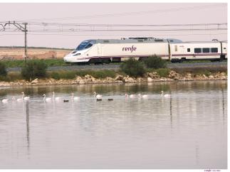 Cs pregunta al Gobierno cómo va a poner fin a los 'continuos retrasos' de los trenes de Madrid con la provincia.