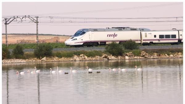 Cs pregunta al Gobierno cómo va a poner fin a los 'continuos retrasos' de los trenes de Madrid con la provincia. Cs pregunta al Gobierno cómo va a poner fin a los 'continuos retrasos' de los trenes de Madrid con la provincia.