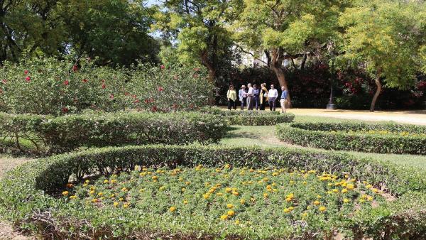 Sevilla.- La Glorieta del Canódromo del parque Amate incorpora seis plantaciones circulares de flores de temporada Sevilla.- La Glorieta del Canódromo del parque Amate incorpora seis plantaciones circulares de flores de temporada