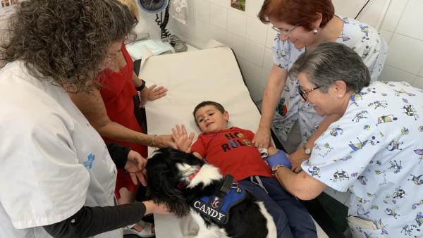 Un perro distrae a los niños en análisis y extracciones dentales en un CAP de Lleida Un perro distrae a los niños en análisis y extracciones dentales en un CAP de Lleida