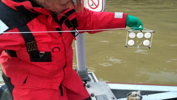 Azti participa en el proyecto europeo Monitool que valida nuevas herramientas de medición de la calidad de las aguas Azti participa en el proyecto europeo Monitool que valida nuevas herramientas de medición de la calidad de las aguas