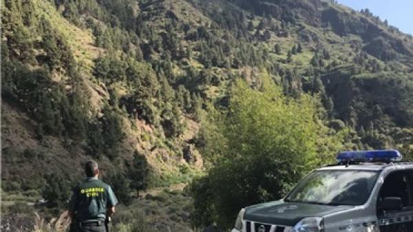 Sucesos.- Detenido por robar 80 matas de aguacates que replantó en su finca Sucesos.- Detenido por robar 80 matas de aguacates que replantó en su finca