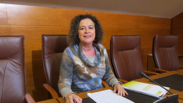 Teresa Noceda, diputada del PRC Teresa Noceda, diputada del PRC