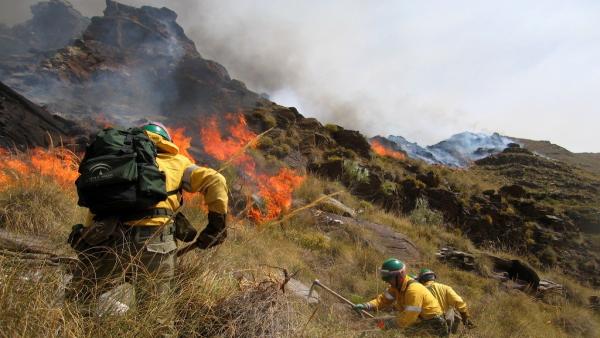 Controlado el incendio forestal declarado en un paraje de Benalmádena Controlado el incendio forestal declarado en un paraje de Benalmádena