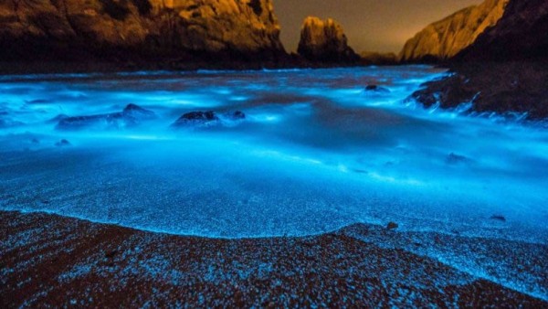 Una playa con "lágrimas azules" Una playa con "lágrimas azules"