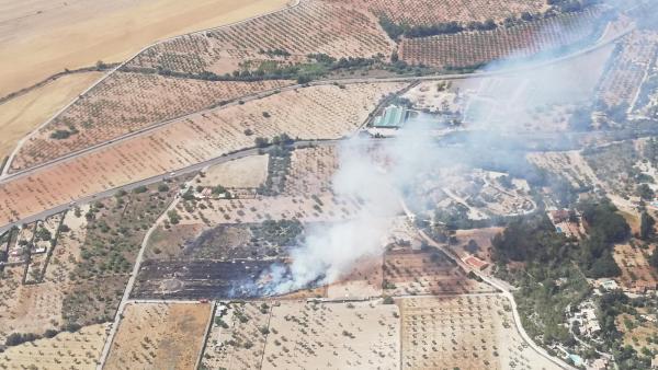 Sucesos.- Declarado un incendio agrícola en Marratxinet Sucesos.- Declarado un incendio agrícola en Marratxinet