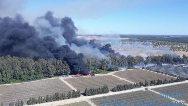 Huelva.- Sucesos.- Declarado un incendio forestal en el Arroyo de la Cañada de Almonte Huelva.- Sucesos.- Declarado un incendio forestal en el Arroyo de la Cañada de Almonte