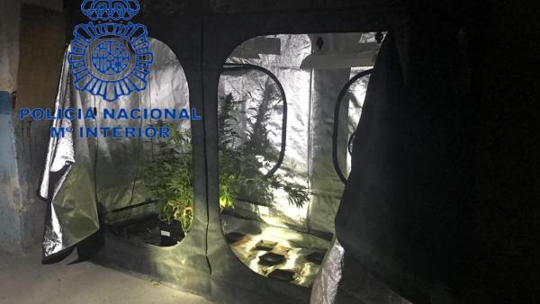 LA POLICÍA NACIONAL DETIENE A CINCO PERSONAS POR TRÁFICO DE DROGAS Y DESMANTELA TRES LABORATORIOS DE MARIHUANA LA POLICÍA NACIONAL DETIENE A CINCO PERSONAS POR TRÁFICO DE DROGAS Y DESMANTELA TRES LABORATORIOS DE MARIHUANA