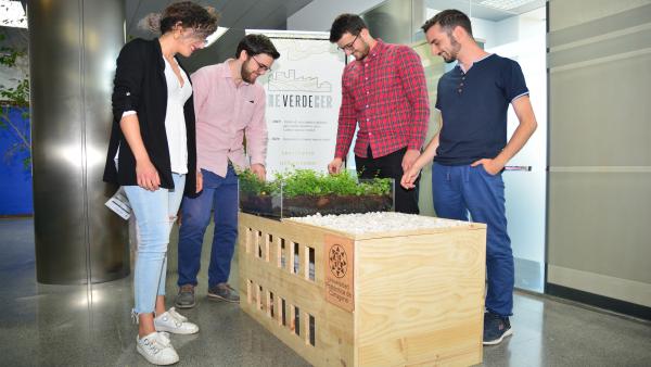 Arquitectos de UPCT proponen plantar vegetales en tejados para bajar el CO2, la temperatura del edificio y de la ciudad Arquitectos de UPCT proponen plantar vegetales en tejados para bajar el CO2, la temperatura del edificio y de la ciudad