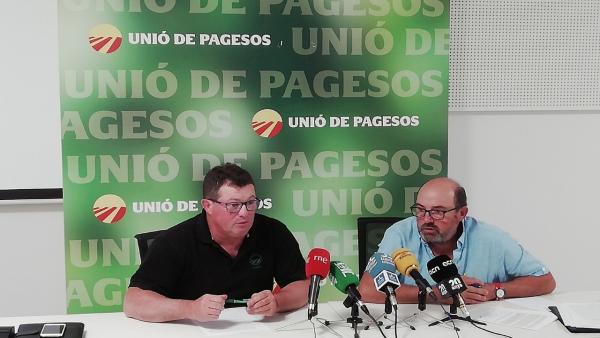 Agro.- Unió de Pagesos calcula que Catalunya necesita un 32% más temporeros que en 2018 Agro.- Unió de Pagesos calcula que Catalunya necesita un 32% más temporeros que en 2018