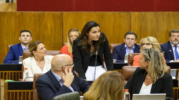 Cádiz.- Rodríguez (Cs) dice que 'las 29 banderas azules son un importante impulso para la provincia' Cádiz.- Rodríguez (Cs) dice que 'las 29 banderas azules son un importante impulso para la provincia'