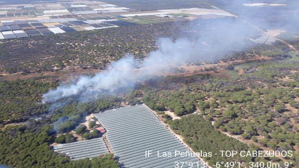 Huelva.- Sucesos.- Declarado un incendio forestal en el paraje de Las Peñuelas de Moguer Huelva.- Sucesos.- Declarado un incendio forestal en el paraje de Las Peñuelas de Moguer