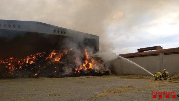 Nueve dotaciones de bomberos trabajan en el incendio de Linyola (Lleida) Nueve dotaciones de bomberos trabajan en el incendio de Linyola (Lleida)