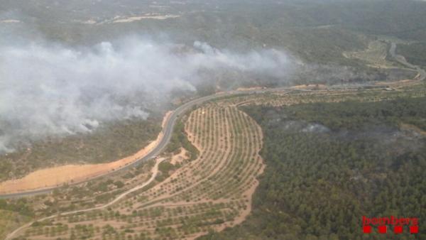 Incendio forestal en Maials (Lleida) junto a la C-12 Incendio forestal en Maials (Lleida) junto a la C-12