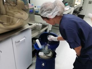 Laboratorio