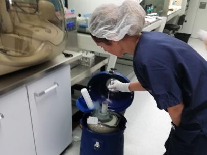 Laboratorio