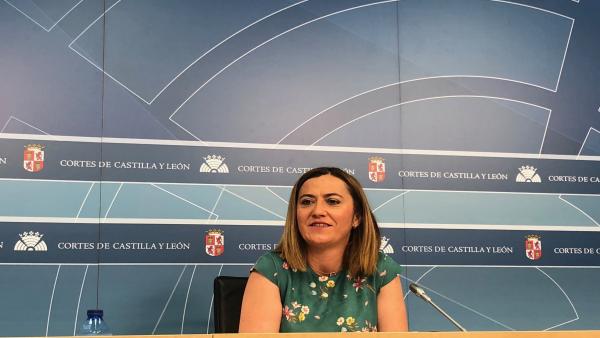 Rueda de prensa de la secretaria general del PSOE de Castilla y León, Virgina Barcones, en las Cortes Rueda de prensa de la secretaria general del PSOE de Castilla y León, Virgina Barcones, en las Cortes
