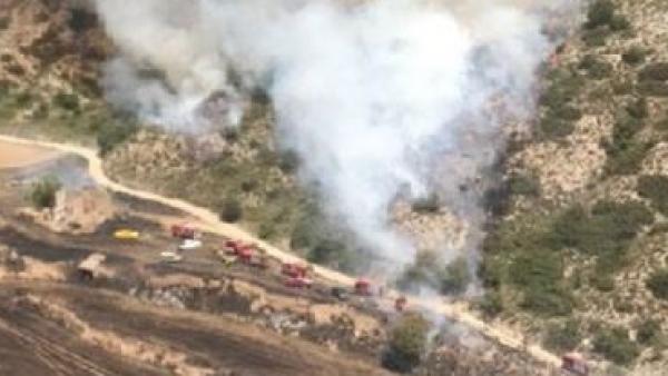 Un incendio en un campo de cultivo de cereales de Biosca quema 10 hectáreas. Un incendio en un campo de cultivo de cereales de Biosca quema 10 hectáreas.