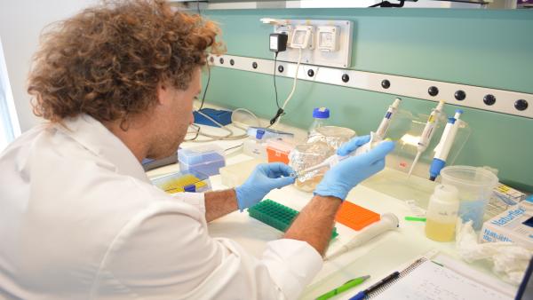 Un investigador del Instituto de Biotecnología Vegetal de la UPCT Un investigador del Instituto de Biotecnología Vegetal de la UPCT