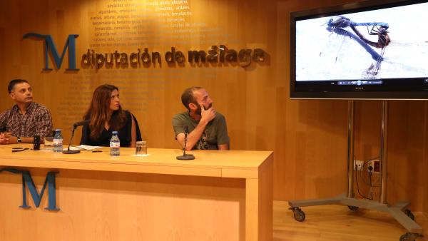 Bravo Diputación de Málaga medio ambiente potencial ornitológico especies de aves diferentes Bravo Diputación de Málaga medio ambiente potencial ornitológico especies de aves diferentes