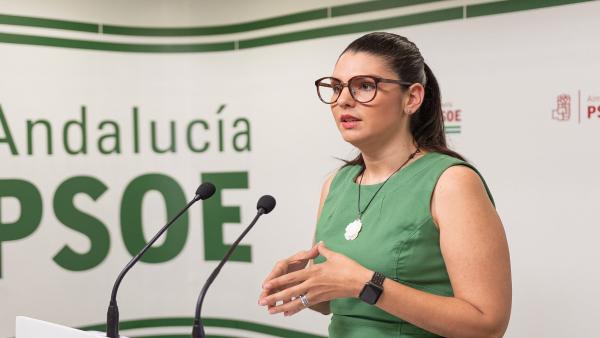 La parlamentaria del PSOE de Almería Noemí Cruz La parlamentaria del PSOE de Almería Noemí Cruz