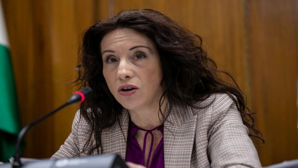 La consejera de Igualdad, Políticas Sociales y Conciliación, Rocío Ruiz, en una imagen de archivo. La consejera de Igualdad, Políticas Sociales y Conciliación, Rocío Ruiz, en una imagen de archivo.