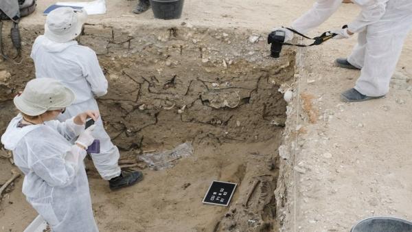 Trabajos en el Cementerio de San José de Cádiz Trabajos en el Cementerio de San José de Cádiz