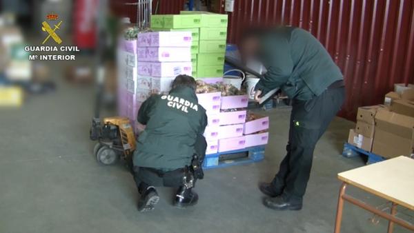 Requisadas 300 toneladas de alimentos y 39.000 libros de bebidas Requisadas 300 toneladas de alimentos y 39.000 libros de bebidas