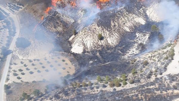 Granada.- Sucesos.- Declarado un incendio en una ladera de monte en Cortes de Baza Granada.- Sucesos.- Declarado un incendio en una ladera de monte en Cortes de Baza