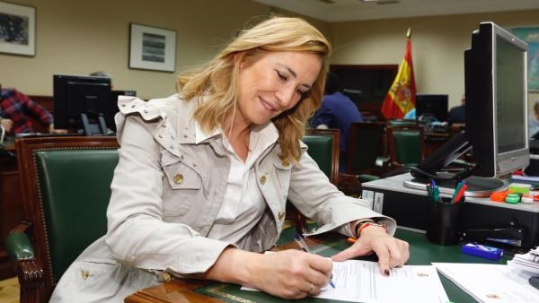La presidenta del PPN, Ana Beltrán. La presidenta del PPN, Ana Beltrán.
