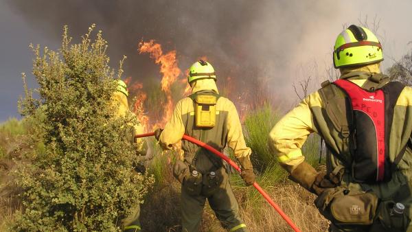 Incendio forestal Incendio forestal