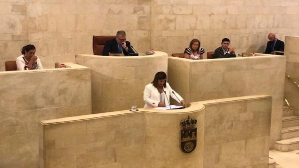 La presidenta del PP de Cantabria y portavoz del grupo popular, María José Sáenz de Buruaga La presidenta del PP de Cantabria y portavoz del grupo popular, María José Sáenz de Buruaga
