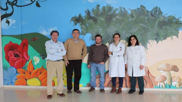 Grupo de PatologÃ­a Agroforestal de la Universidad de CÃ³rdoba