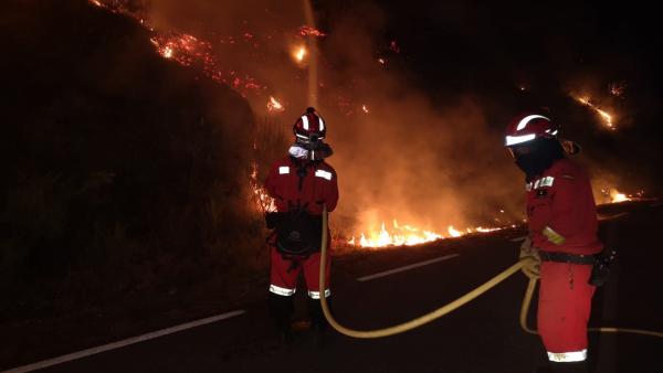 Los bomberos sofocan un incendio en el sur de la provincia de Ávila durante la noche. Los bomberos sofocan un incendio en el sur de la provincia de Ávila durante la noche.