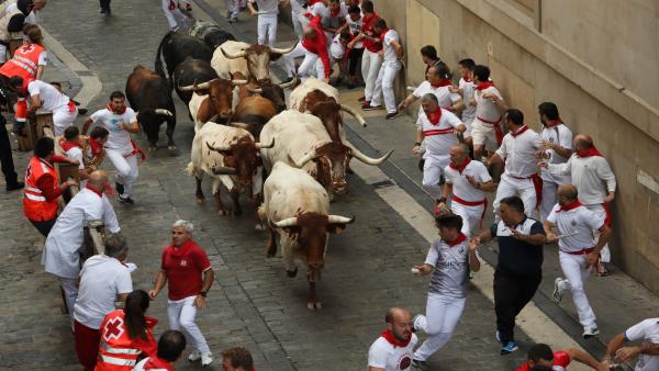 Segundo encierro de San Fermín 2019 de la ganadería Cebada Gago Segundo encierro de San Fermín 2019 de la ganadería Cebada Gago