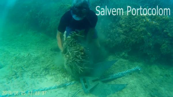 Un submarinista muestra los daños a la Posidonia Oceanica provocados por el ancla de un barco, en un vídeo difundido por Salvem Portocolom. Un submarinista muestra los daños a la Posidonia Oceanica provocados por el ancla de un barco, en un vídeo difundido por Salvem Portocolom.