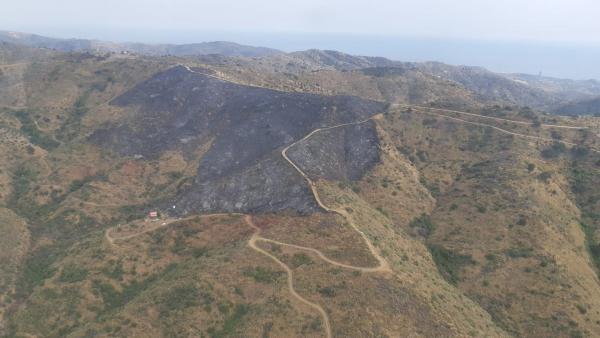 Imagen de la superficie afectada por el incendio forestal en el paraje Arroyo Jaboneros de Málaga capital Imagen de la superficie afectada por el incendio forestal en el paraje Arroyo Jaboneros de Málaga capital