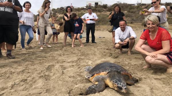 El consejero de Empleo, Universidades, Empresa y Medio Ambiente en funciones, Javier Celdrán, durante la liberación en Águilas de un ejemplar de tortuga boba tratada en el Centro de Recuperación de Fauna Silvestre de El Valle El consejero de Empleo, Universidades, Empresa y Medio Ambiente en funciones, Javier Celdrán, durante la liberación en Águilas de un ejemplar de tortuga boba tratada en el Centro de Recuperación de Fauna Silvestre de El Valle