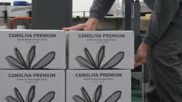 Producción de Aceites Canoliva. Producción de Aceites Canoliva.