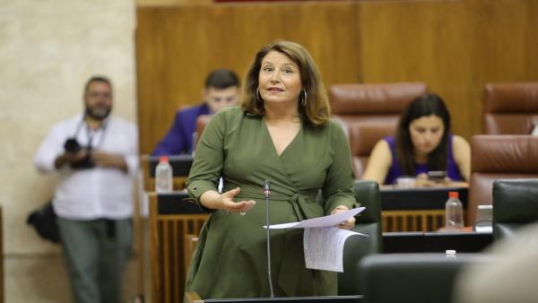 La consejera de Agricultura, Carmen Crespo, en el Parlamento La consejera de Agricultura, Carmen Crespo, en el Parlamento