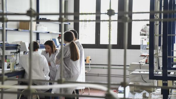 Jóvenes participan en el Campus de la Ciencia y la Tecnología de Canarias 2019 desarrollan un proyecto de investigación Jóvenes participan en el Campus de la Ciencia y la Tecnología de Canarias 2019 desarrollan un proyecto de investigación