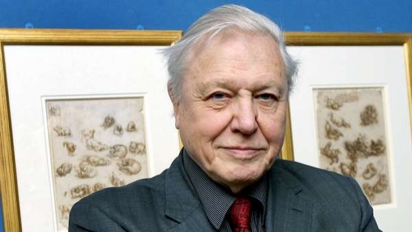 David Attenborough David Attenborough