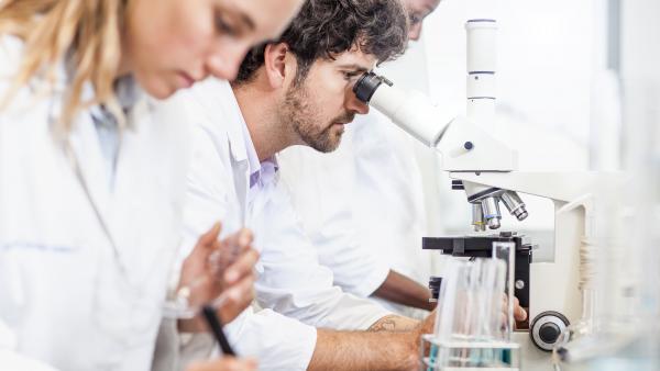 Foto de recurso de investigadores científicos Foto de recurso de investigadores científicos