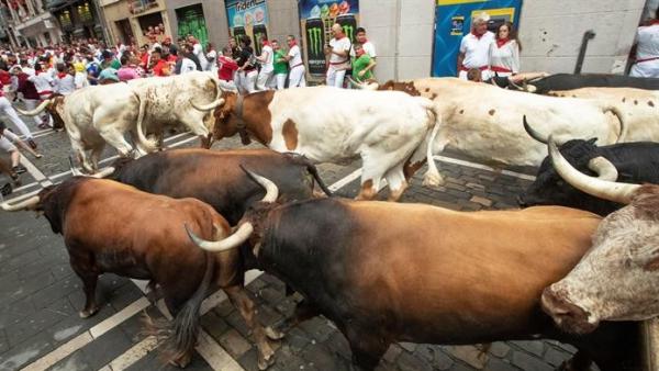 San Fermín 2019 San Fermín 2019