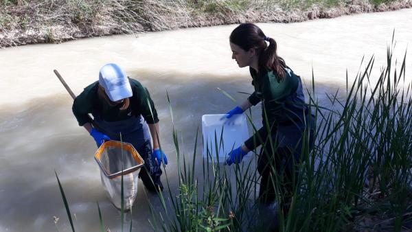 Toma de muestras Toma de muestras