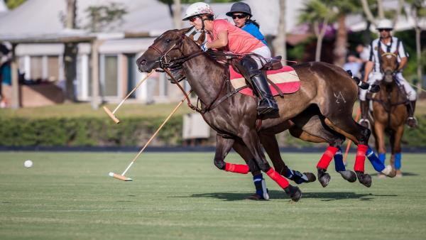 Campeonato de España de Polo femenino Campeonato de España de Polo femenino
