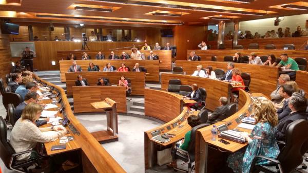 Pleno de elección del presidente. Pleno de elección del presidente.